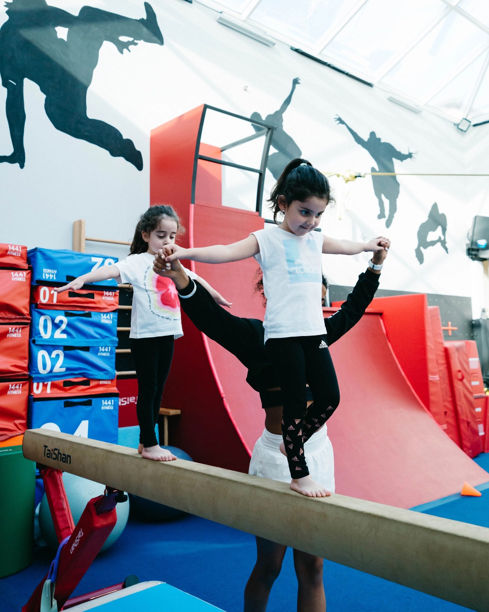 Ninja Warrior